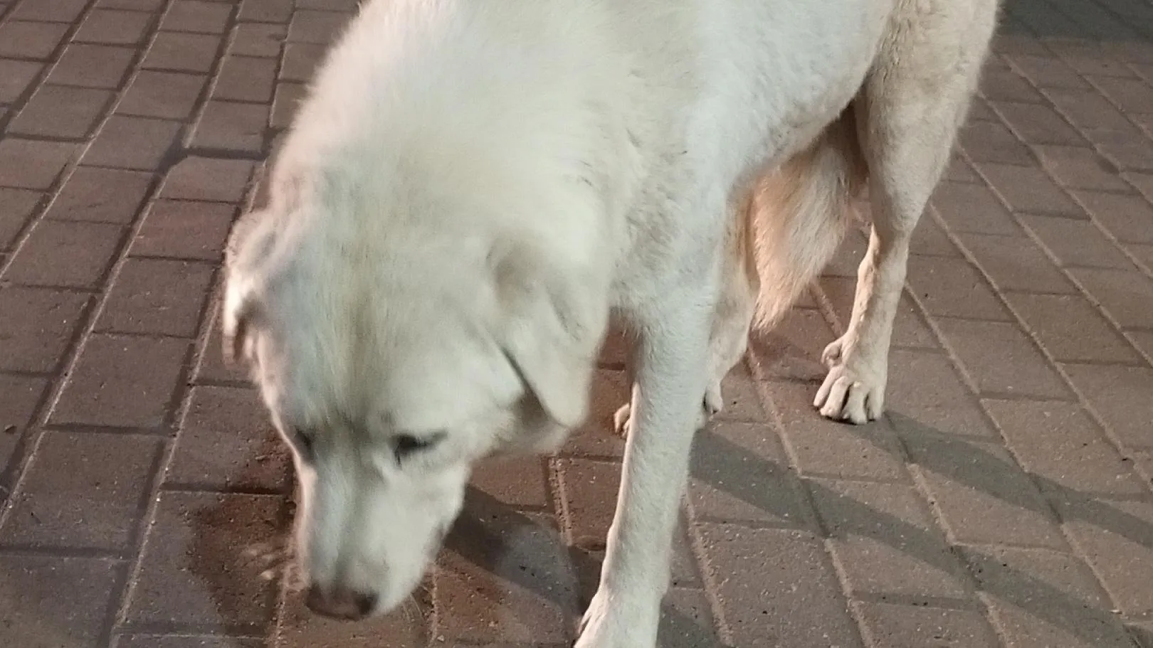 Фото соцсети