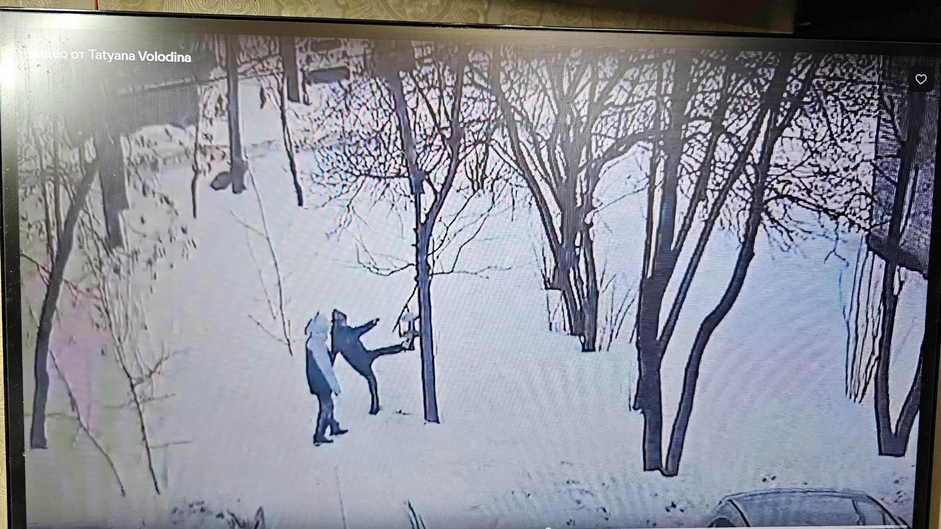 Фото Александра Дрожжина