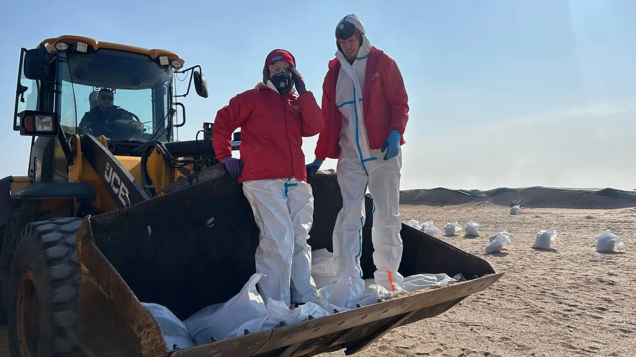 Фото: МБУ РМ «Молодежный центр»