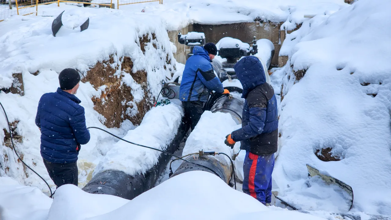 REGIONS/Мария Андрюхина