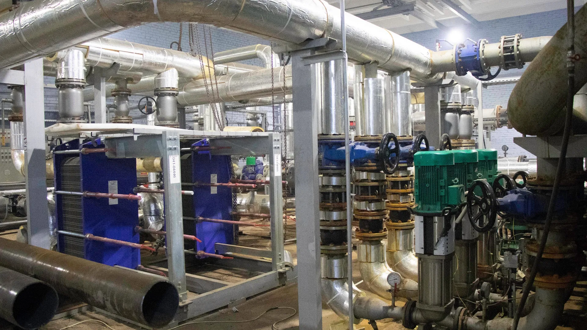 Фото: Александр Морозов