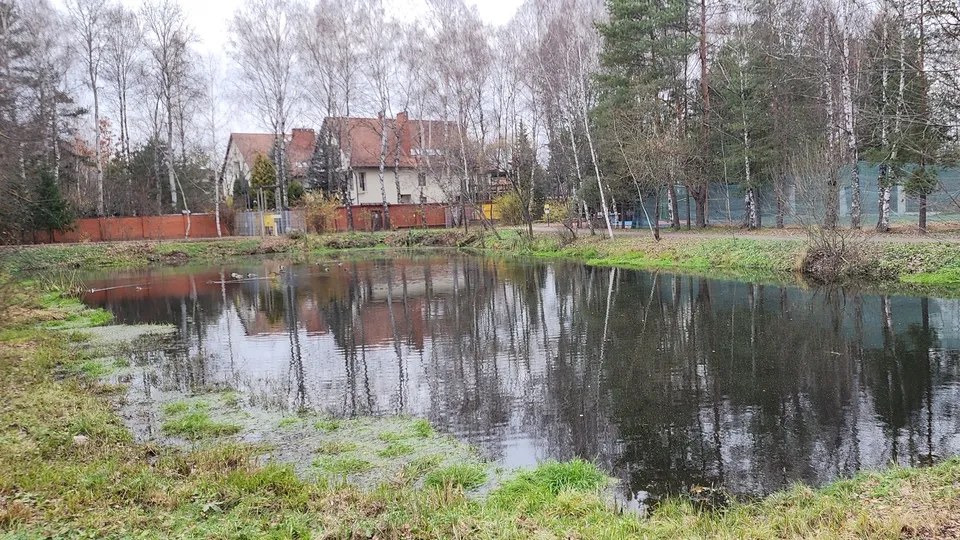 Фото: Хавива Фонина