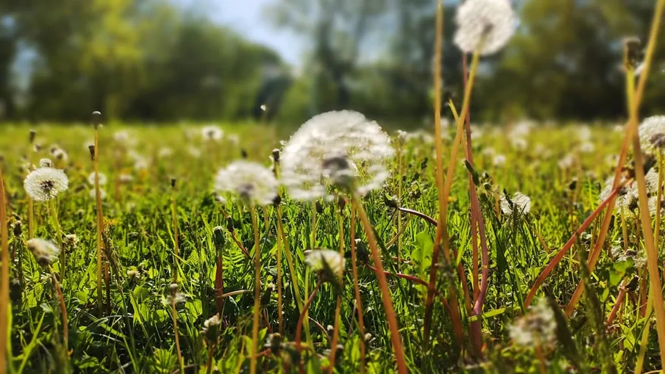 Фото: REGIONS/Алексей Селиверстов