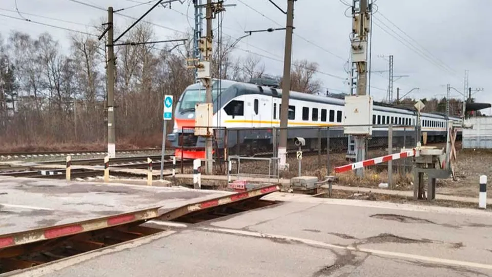 Фото: пресс-служба администрации Раменского м.о.