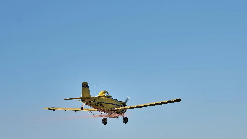 Фото: freepik.com