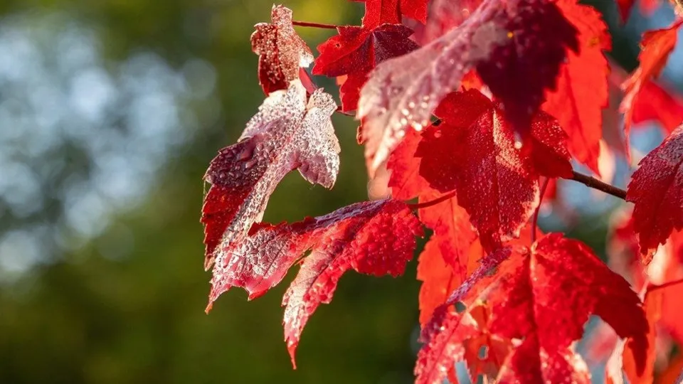 Фото: пресс-служба Администрации г.о. Серпухов
