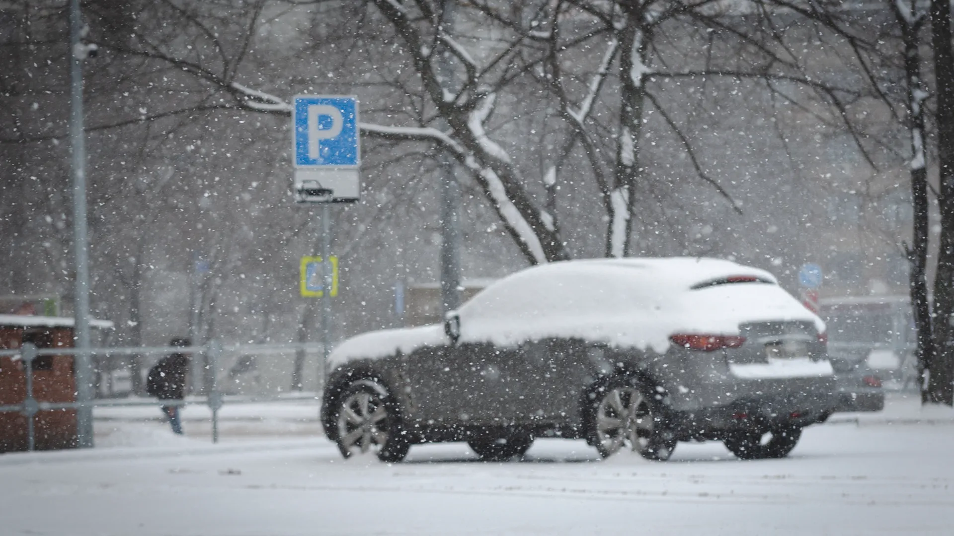 Медиаархив Подмосковья
