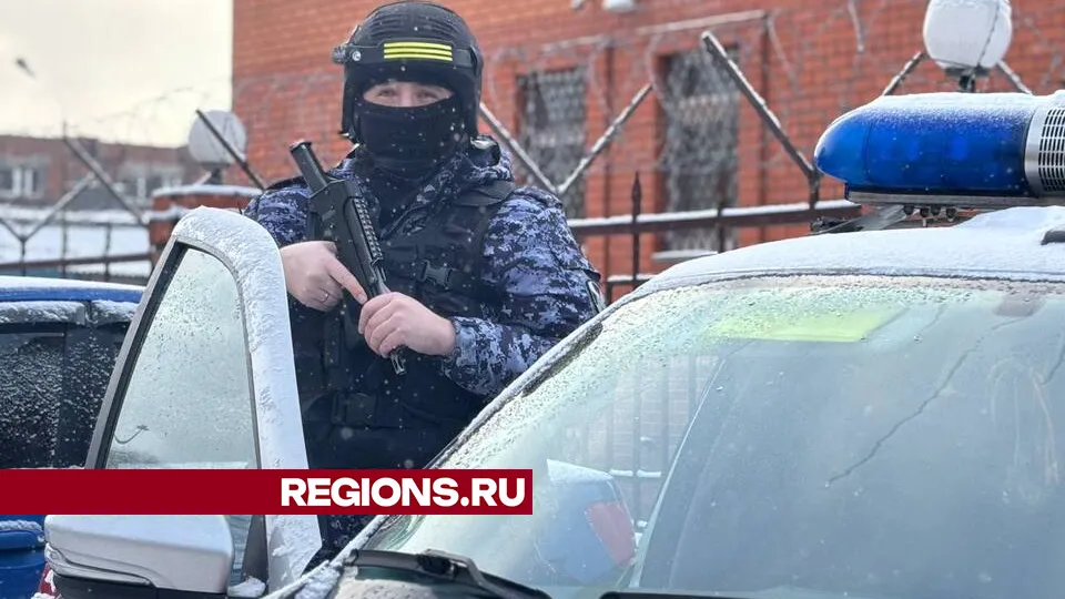 Фото: Светлана Плотникова