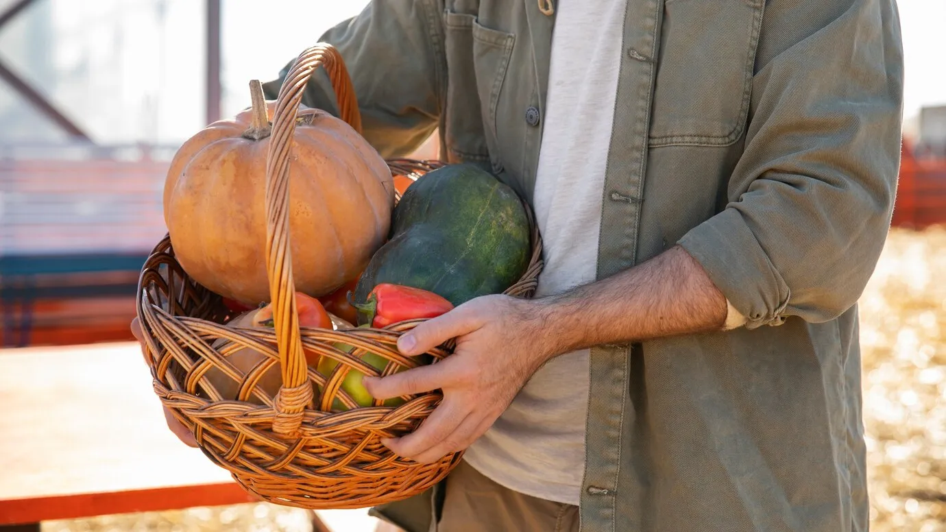 Фото: freepik.com