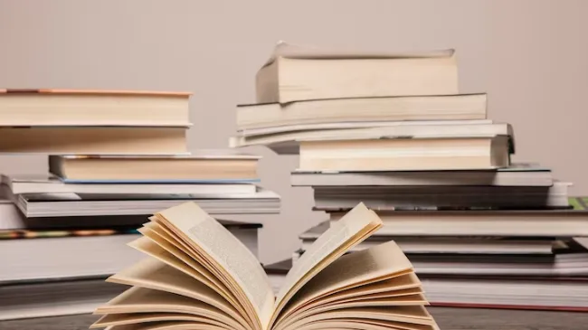 Фото: ru.freepik.com