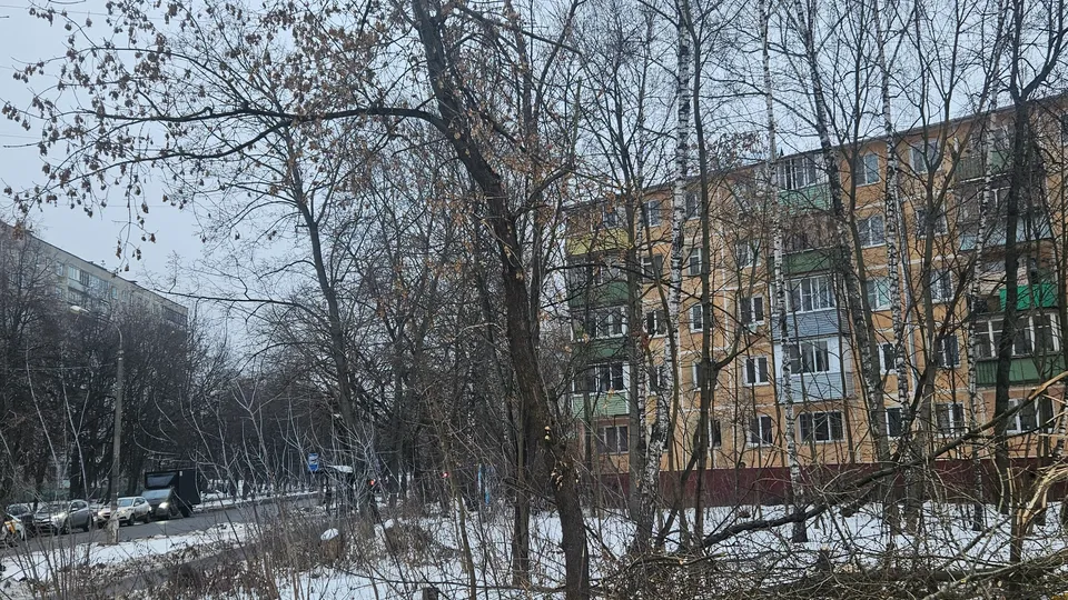 Фото: МедиаБанк Подмосковья/Ольга Вельшикаева