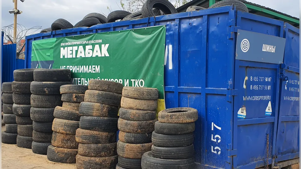 Фото: Медиабанк Подмосковья/Наталия Надточая