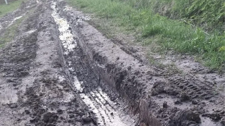 Фото: Добродел