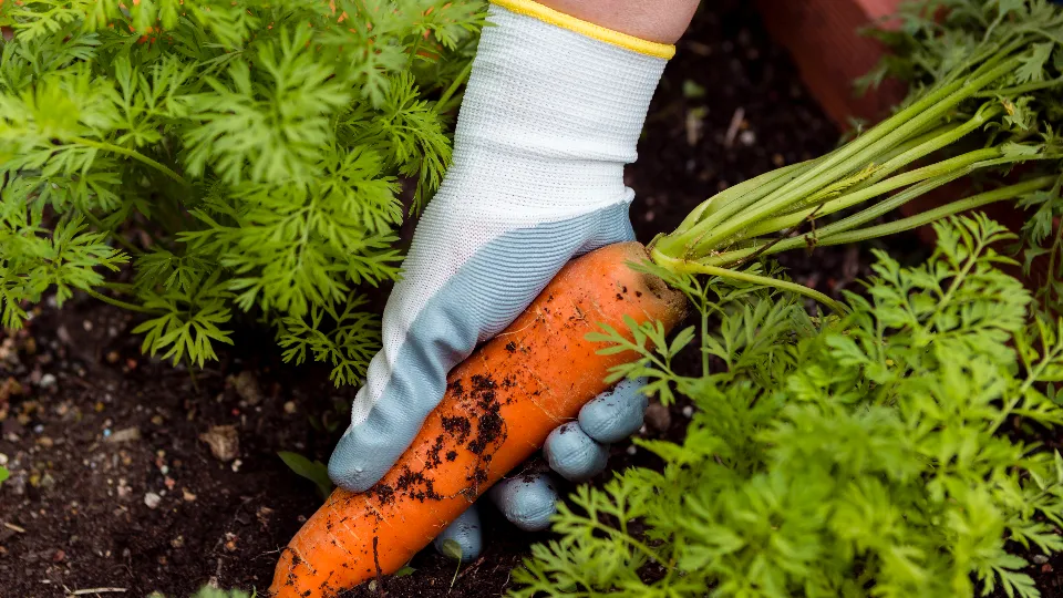 Фото: freepik.com