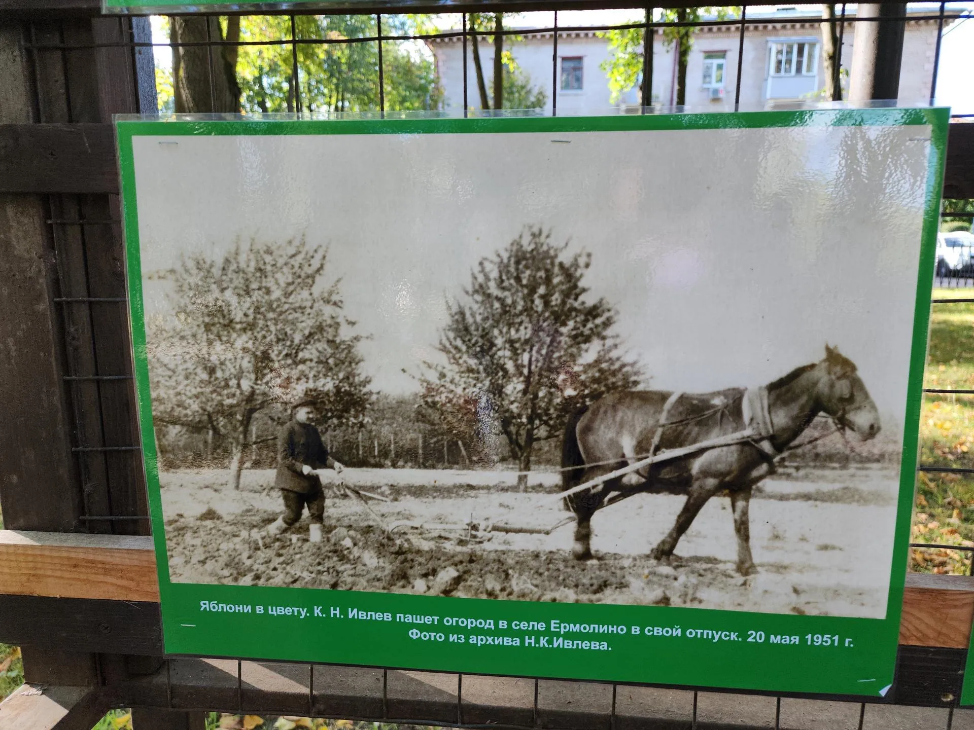 Фото Марии Амелиной