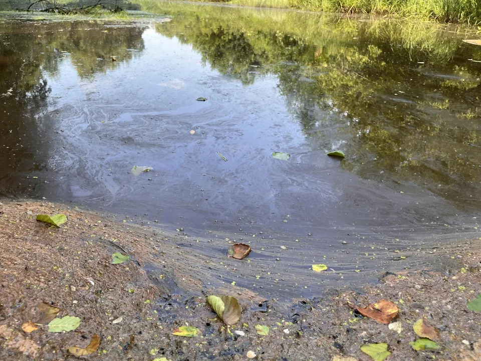 Фото: Ангелина Стельмух