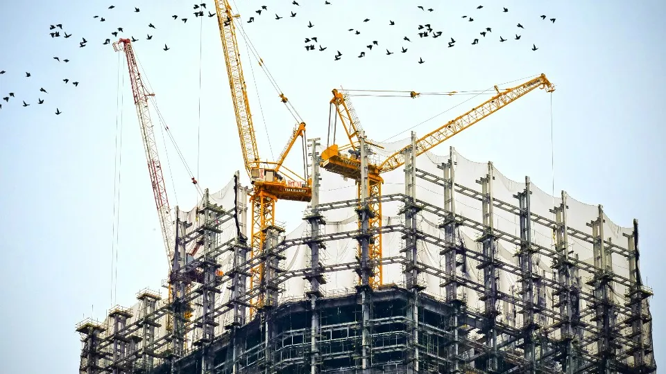 Фото: pxhere.com