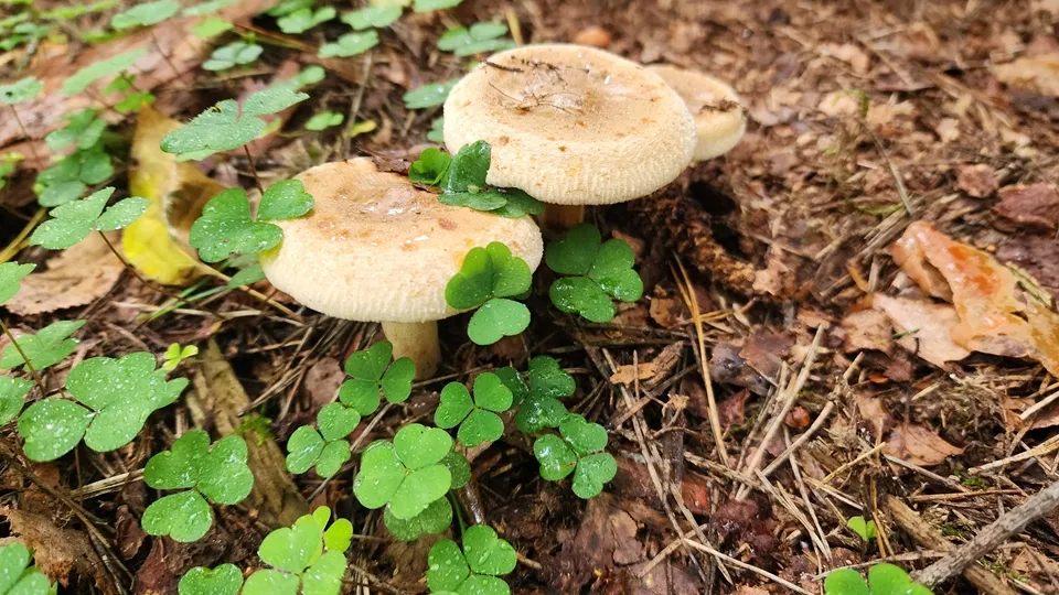 Фото: REGIONS/Екатерина Мелкозерова