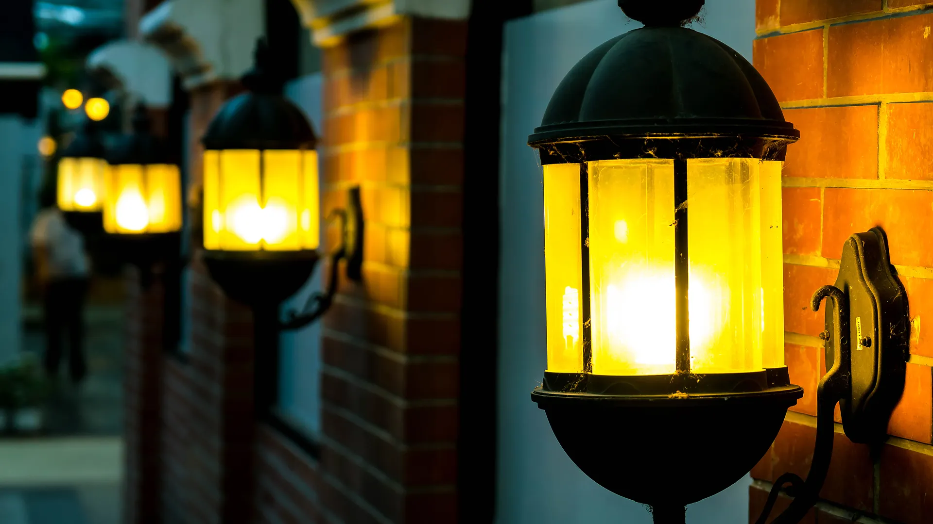 Фото: freepik.com