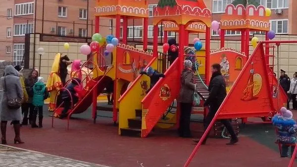 Пресс-служба Дмитрия Пестова