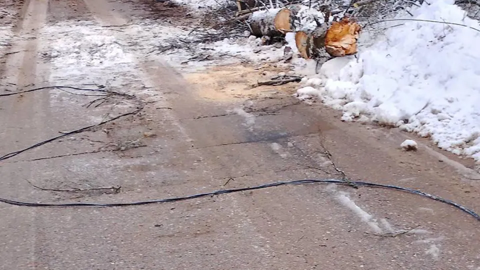 Фото: Администрация городского округа Шаховская