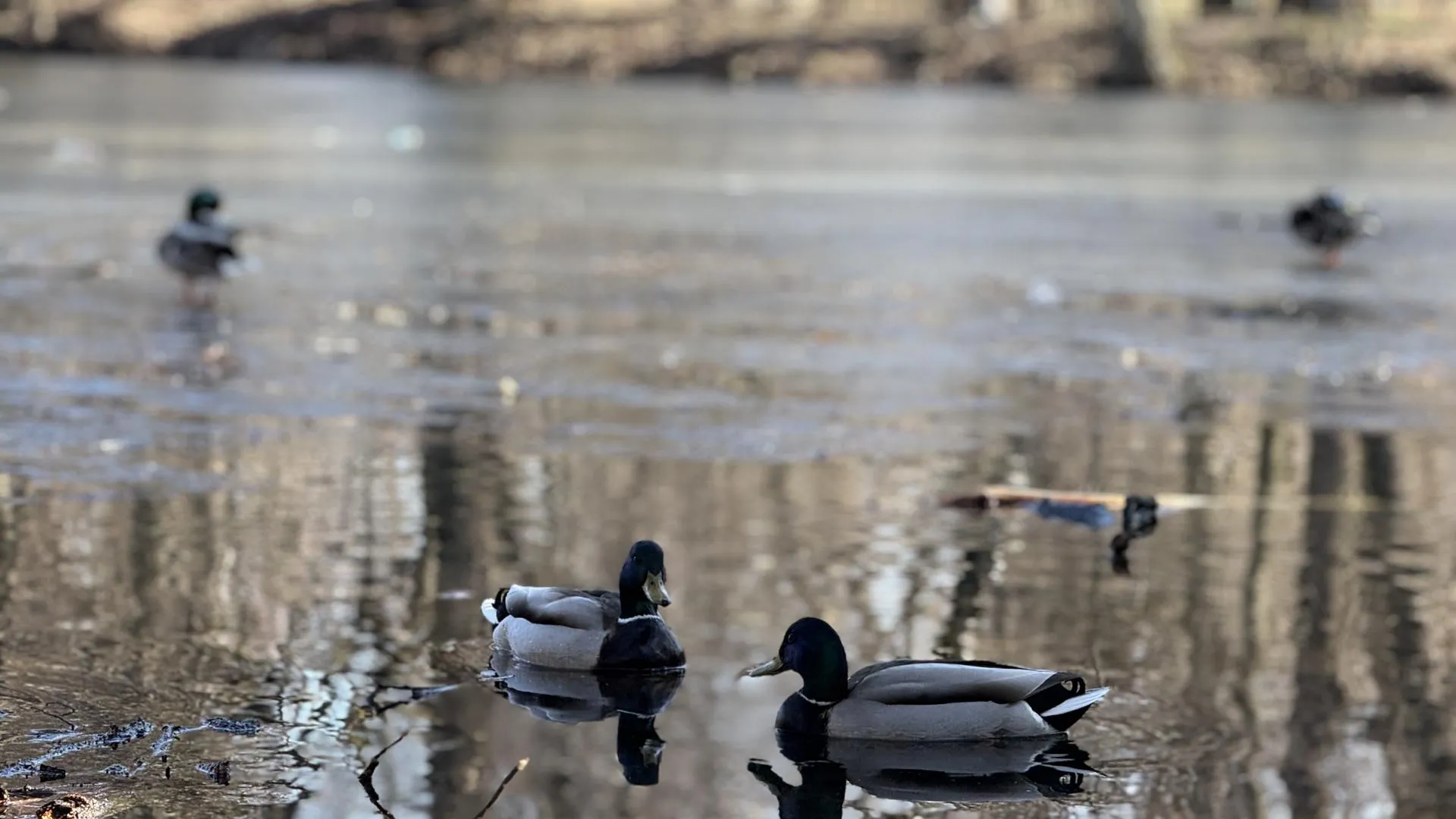 Фото: Ольга Стаферова