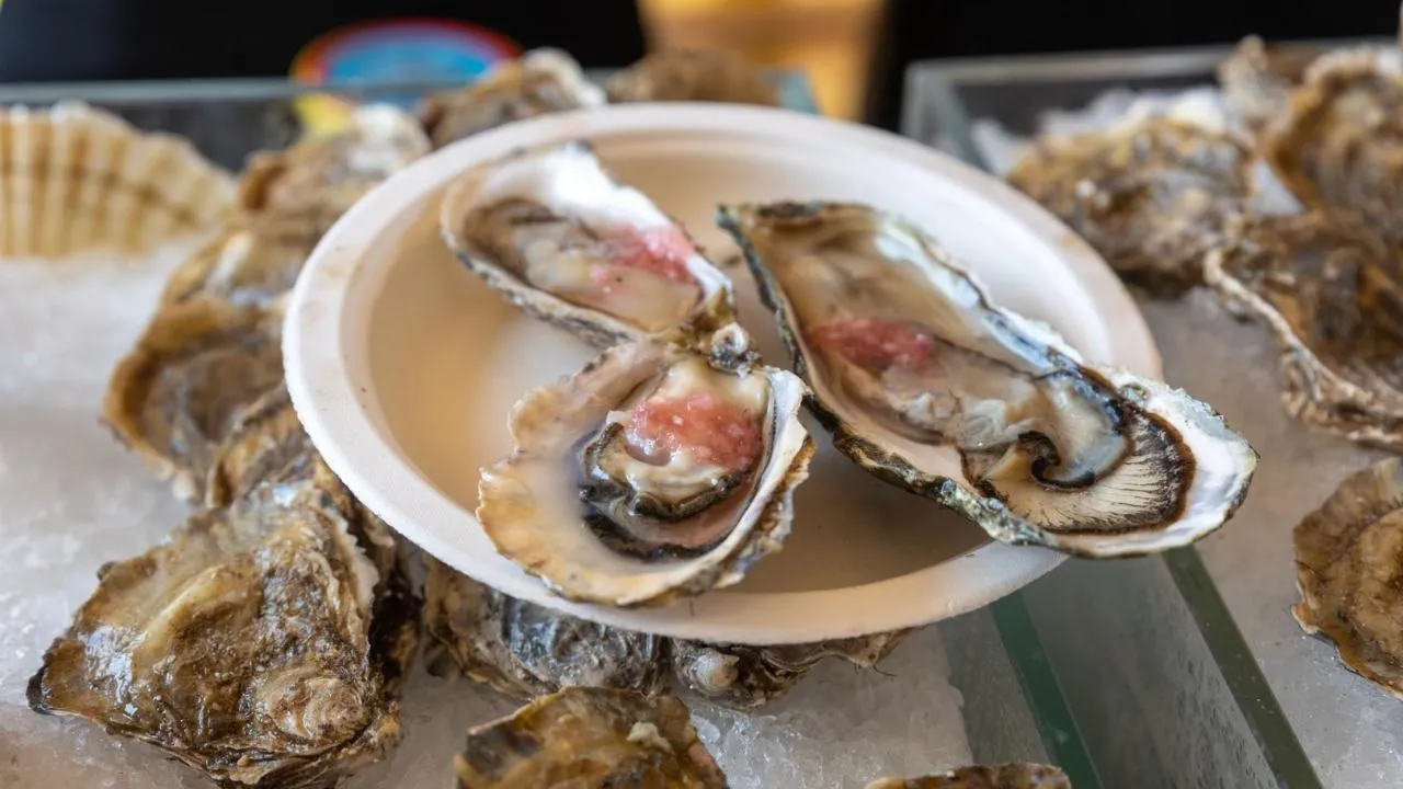 медиасток.рф