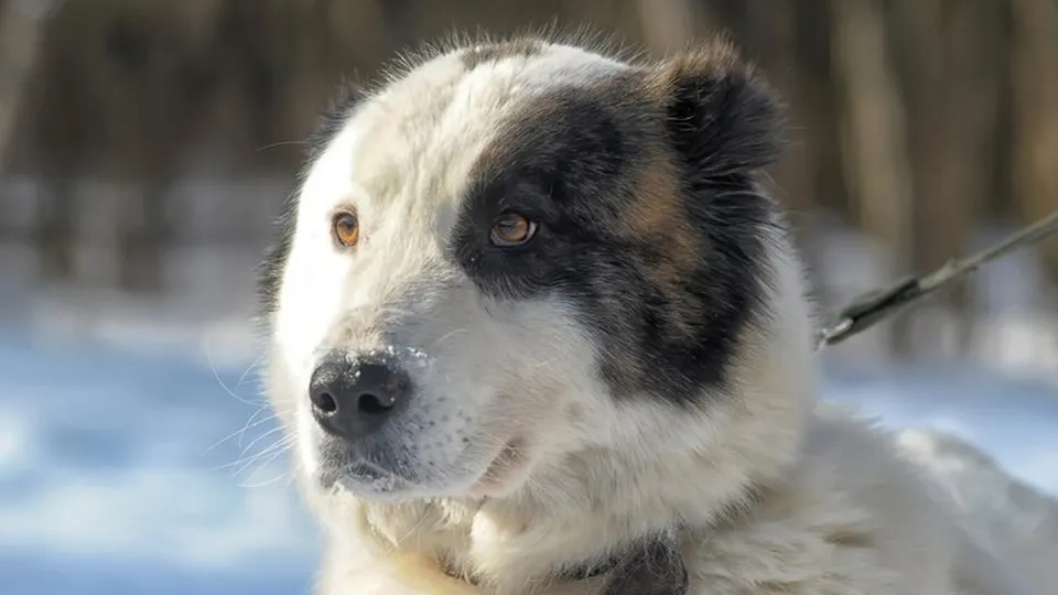 Фото: freepik.com