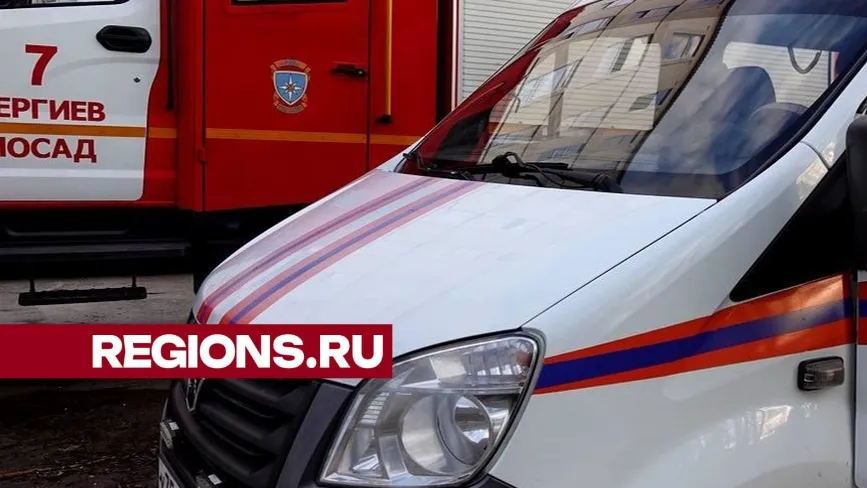 Фото: Дарья Леонова