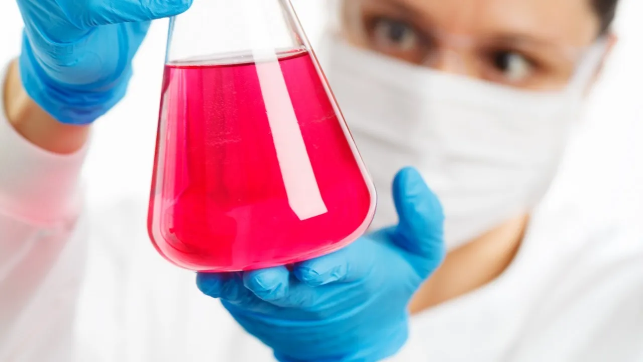 Фото: pxhere.com