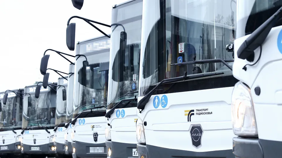 Фото: медиасток.рф