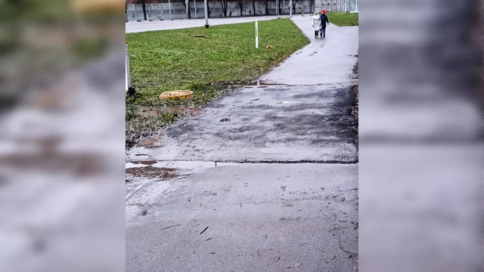 Фото: пресс-служба администрации г.о. Долгопрудный