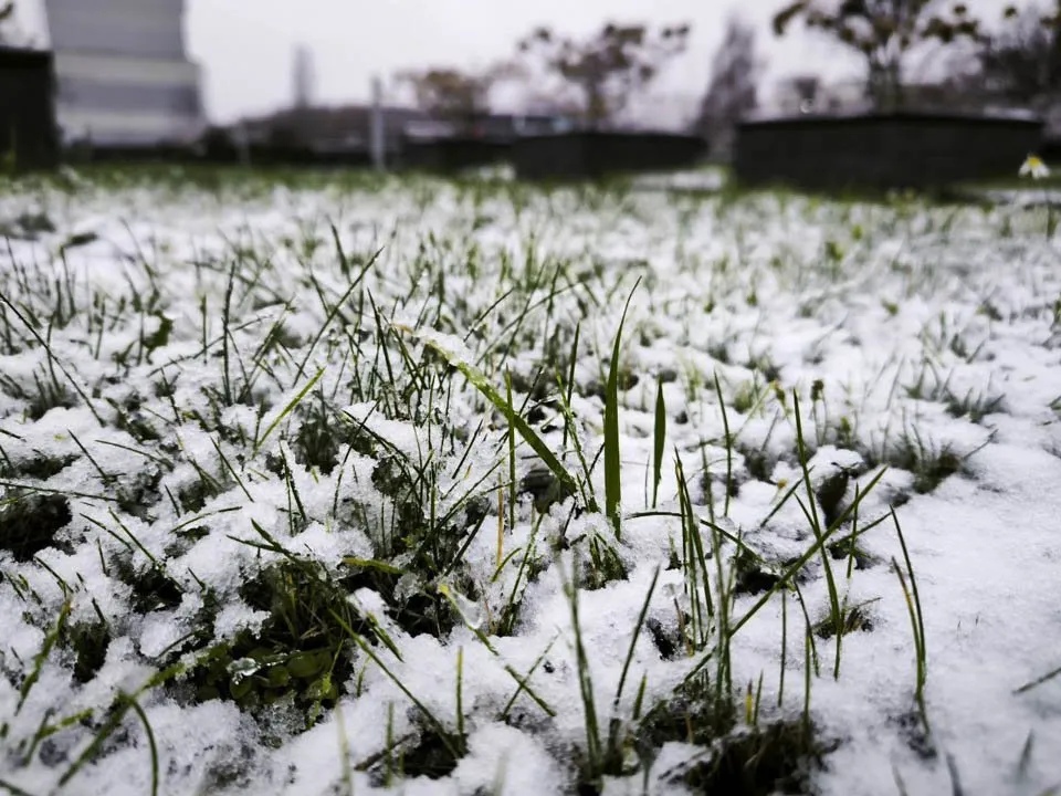 Фото: REGIONS/Роман Малышенко