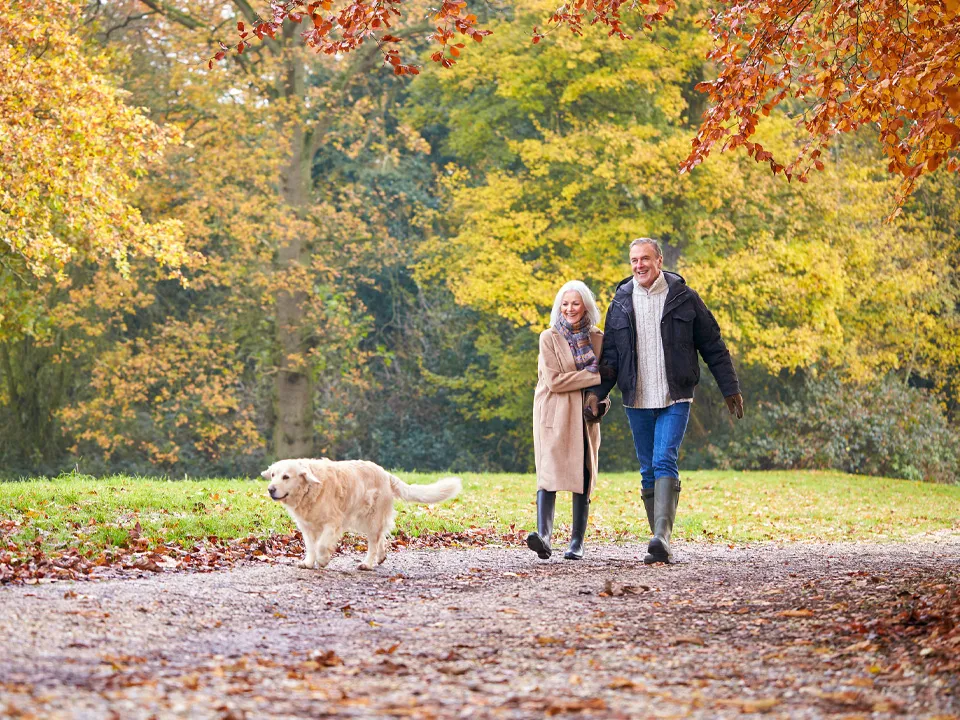 Фото: istockphoto.com/monkeybusinessimages&nbsp;