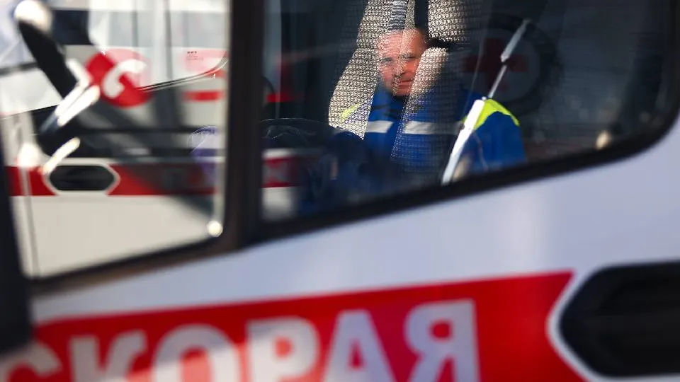 Фото: Медиаархив Подмосковья