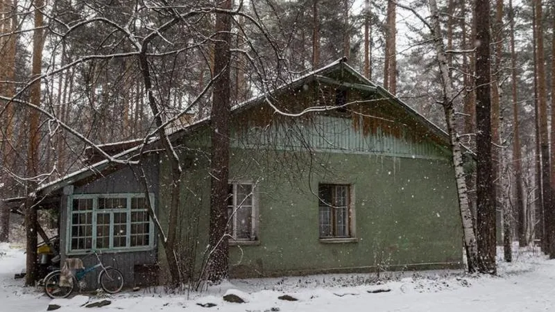 facebook.com/alshevskix