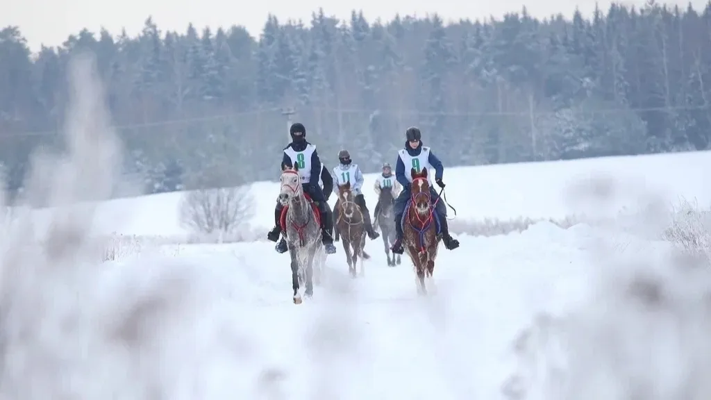 Фото: Виктория Федулова