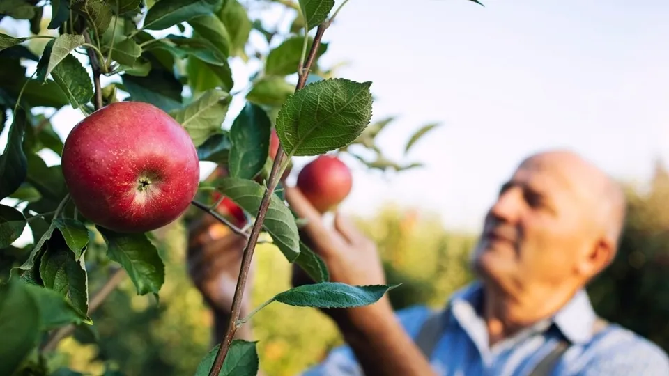 Фото: freepik.com