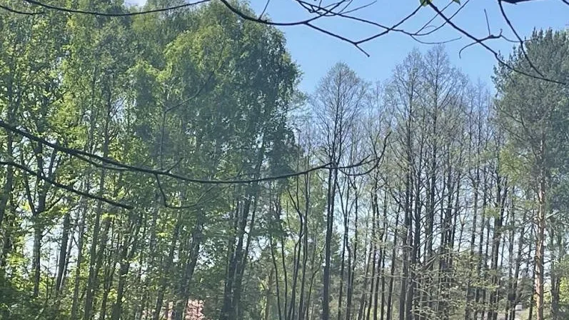 Фото: Минэкологии МО