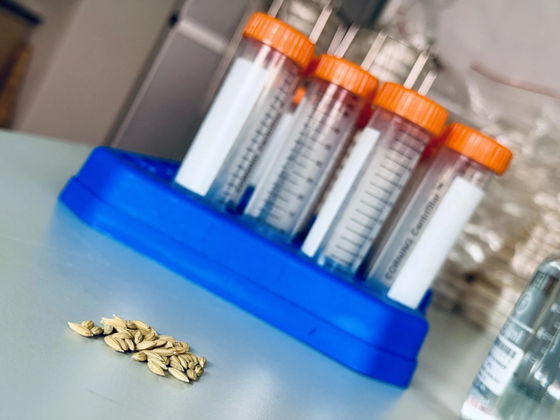 Фото: Ольга Стаферова