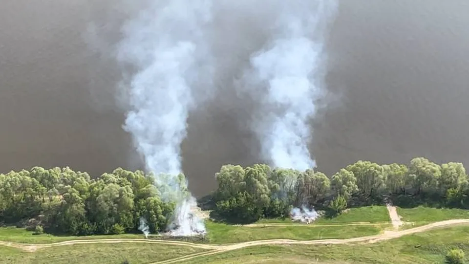 Фото: МедиаБанк Подмосковья