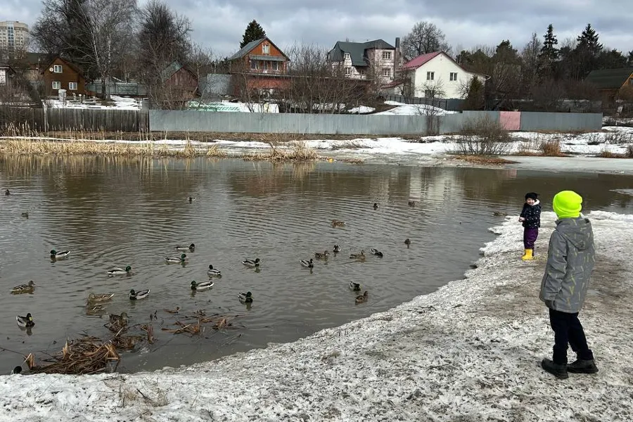 Фото: газета "Одинцовская неделя"