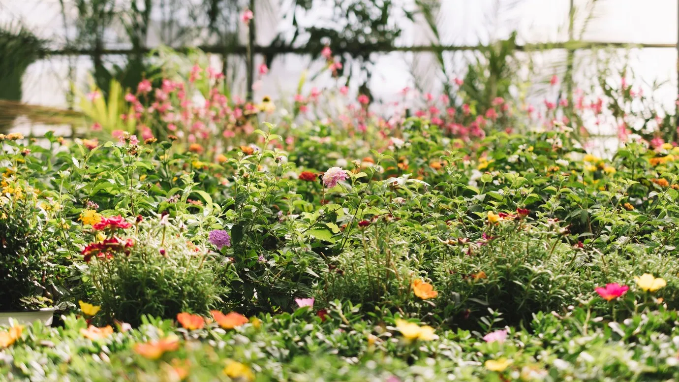 Фото: freepik.com