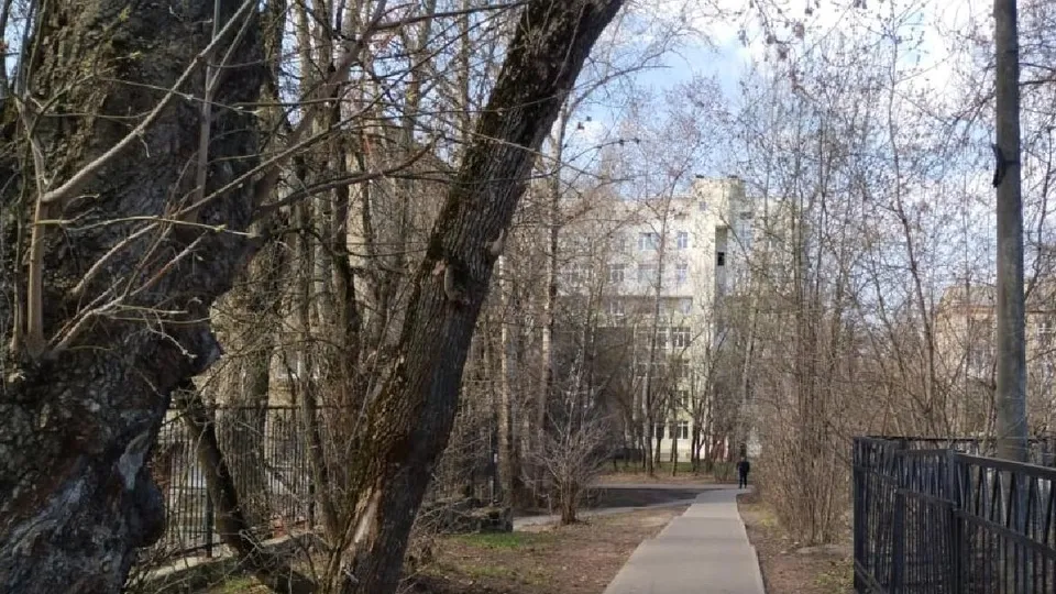 Фото: пресс-служба администрации г.о. Лыткарино