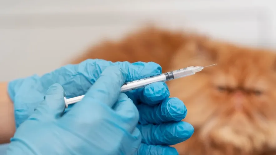 Фото: freepik.com