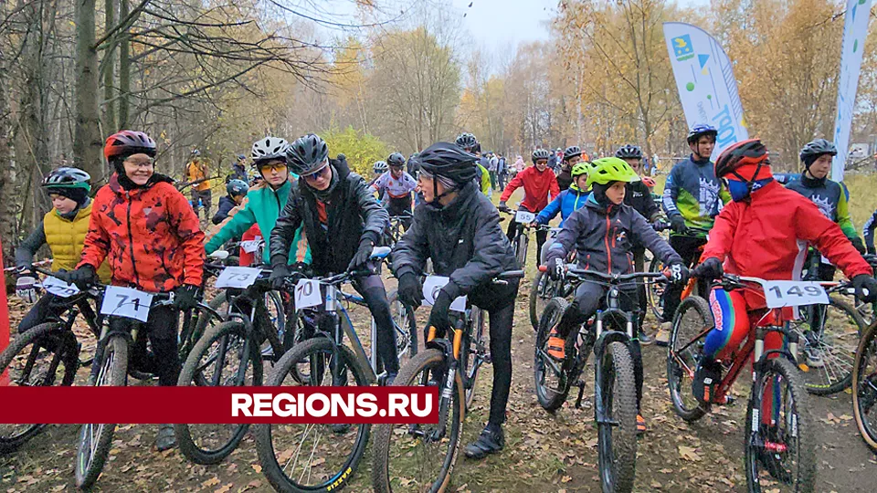 Фото: Андрей Семибратов