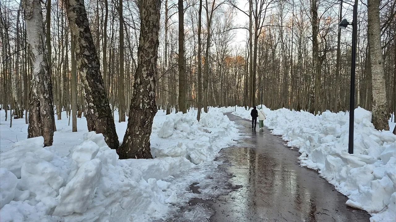 Андрей Семибратов