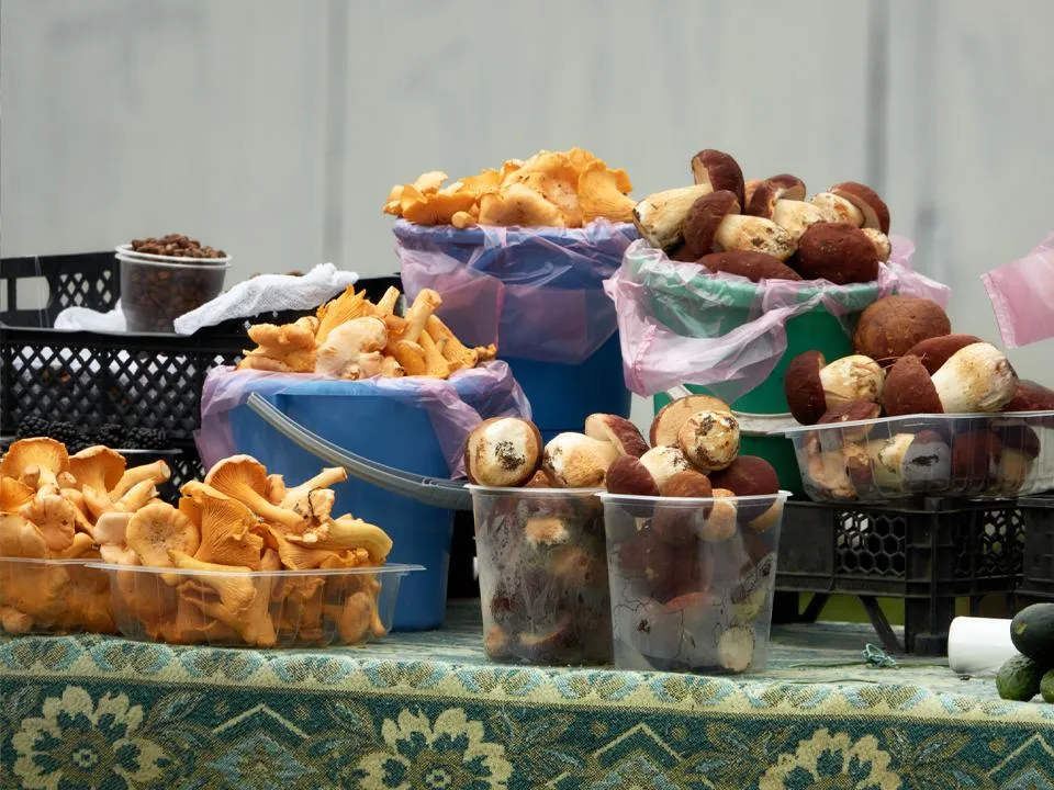 Фото: istockphoto.com