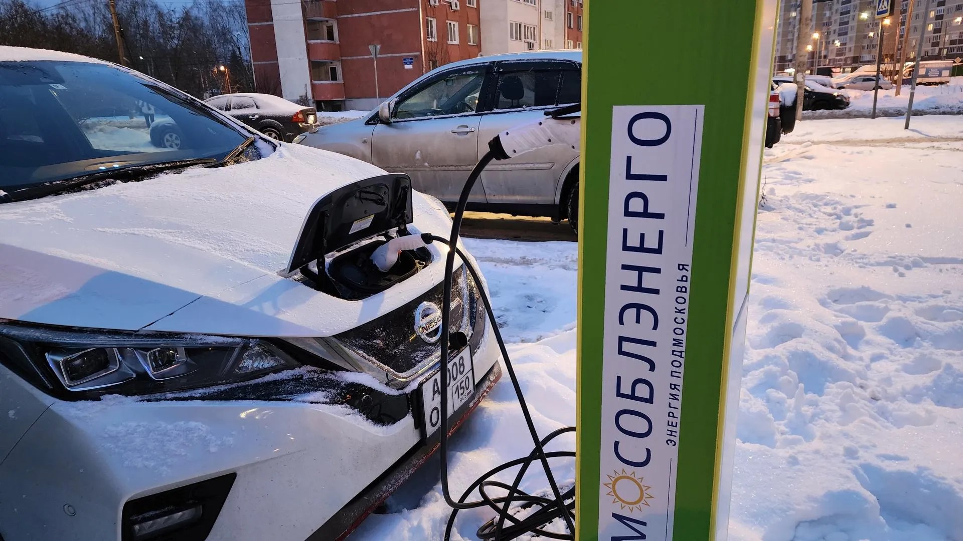 Валерия Тингаева