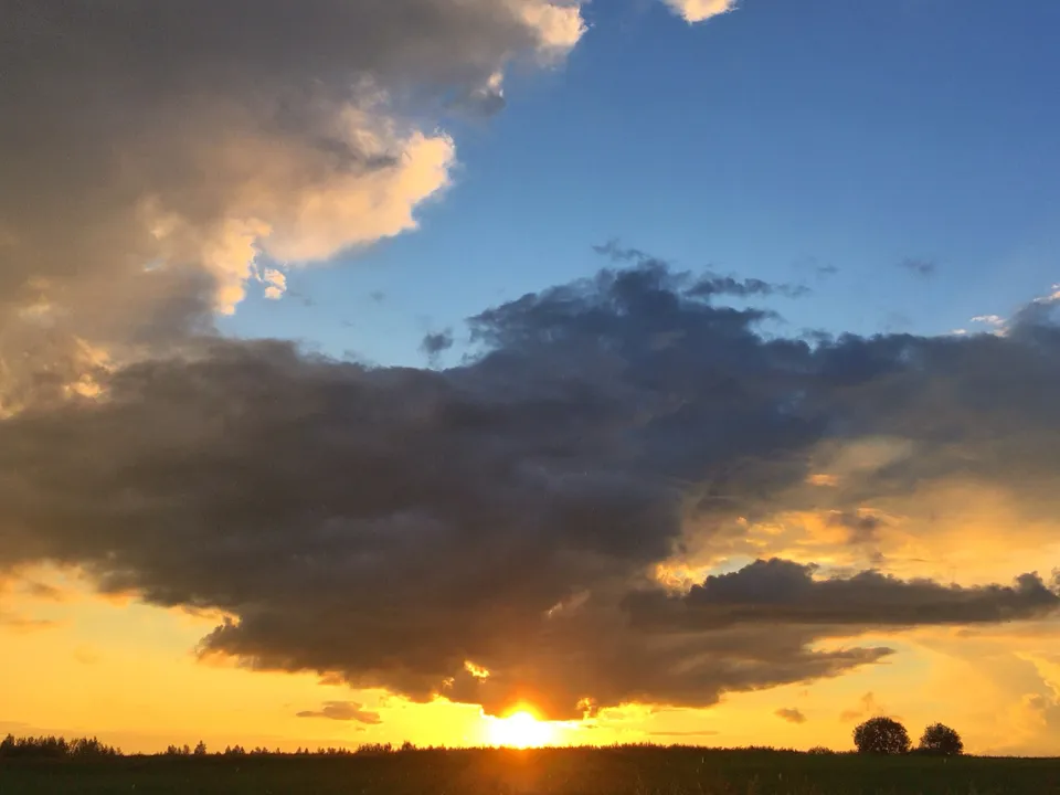 Фото: Юрий Котов<br>